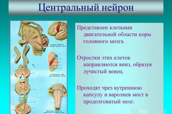 Телеграм канал кракен